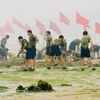Jednorázová licence, není určeno pro články! Fotogalerie: Čínské pláže pokryly mořské řasy