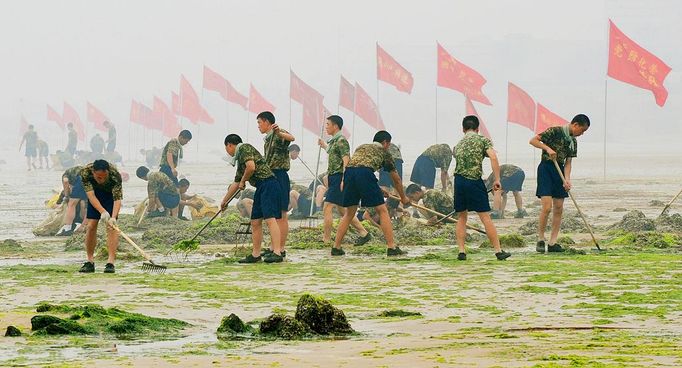 Chinese People's Liberation Army (PLA) soldiers remove algae from a beach near the Olympic Sailing Centre in the city of Qingdao on July 5, 2008. Olympic sailors are not normally afraid of the water, but athletes and coaches say the pollution at the Olympic sailing course in Qingdao makes them very wary of getting wet. The bright green algae that has choked parts of the Olympic course has drawn an unwelcome spotlight on China's environmental record and prompted an ongoing cleanup effort by more than 10,000 people, backed by boats, bulldozers and the military.