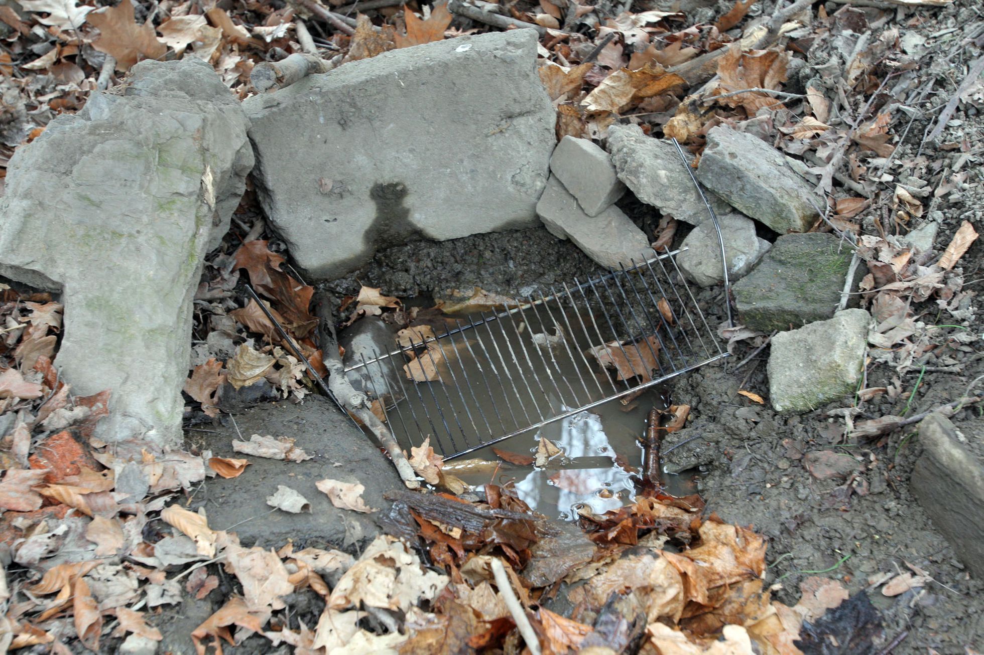 Pražské studánky