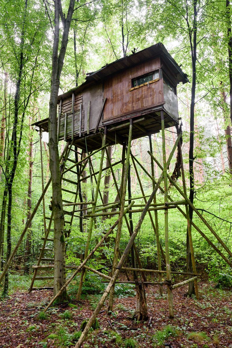 Lovec posedů / Fotogalerie / Posedy jak je určitě neznáte. Nechte se uhranout géniem myslivecké tvořivosti