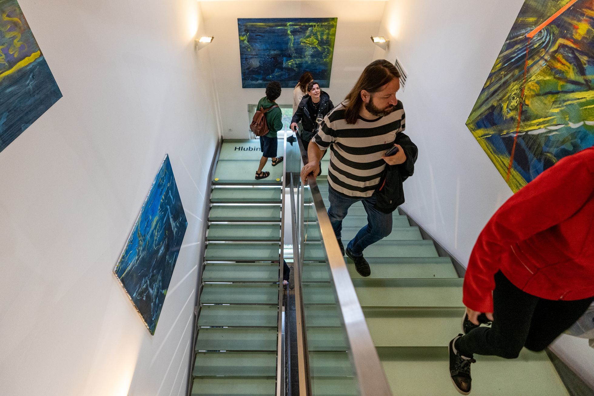 Martin Salajka: Mimikry