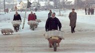 Ženy ze Sarajeva vezou na kolečkách dřevo na topení v době blokády a ostřelování města srbskými jednotkami. Prosinec 1992.