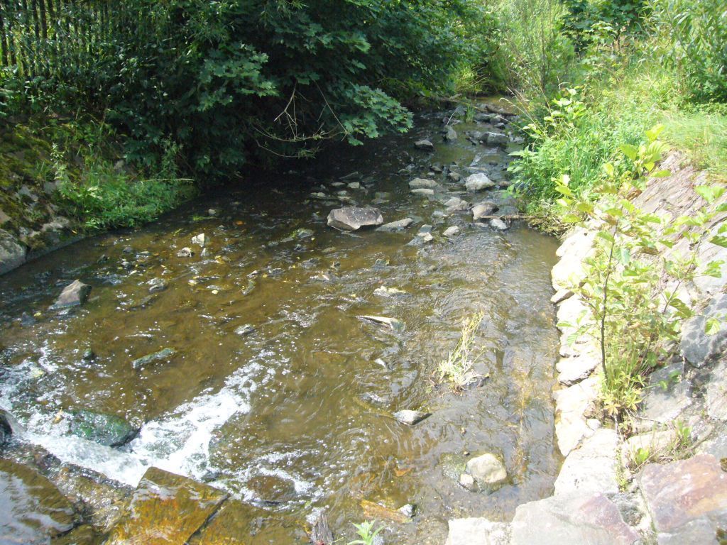 Křivoklátsko