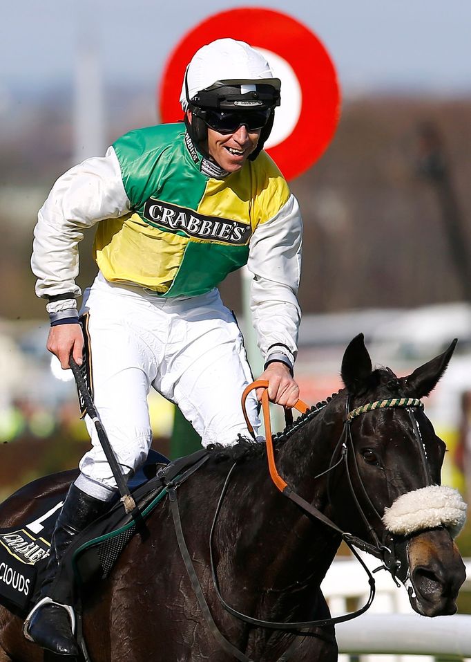 Many Clouds s žokejem Leightonem Aspellem, vítězové Velké národní 2015