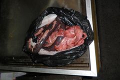 V tržnici SAPA našli inspektoři špatně skladované maso