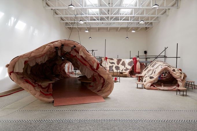 Snímek z benátské instalace díla Srdce žirafy v zajetí je o dvanáct kilo lehčí.