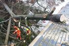Popadané stromy zablokovaly některé železniční tratě. 30. ledna 2022