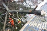 Popadané stromy zablokovaly některé železniční tratě. 30. ledna 2022