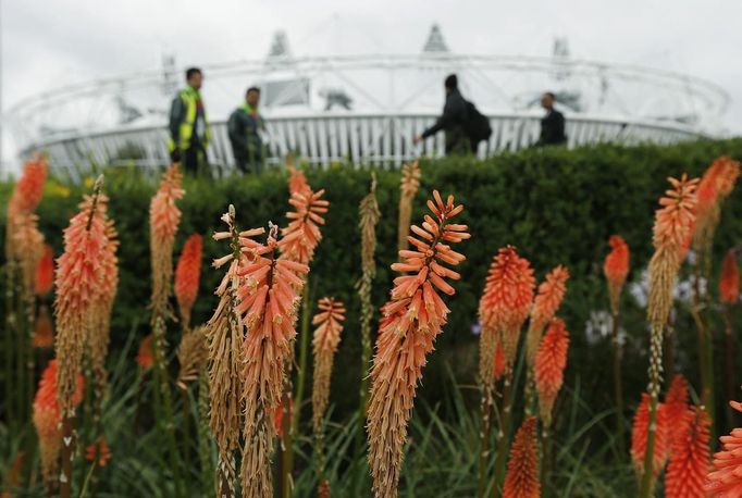 Flowers bloom outside the Olympic Stadium at the Olympic Park in Stratford, the location of the London 2012 Olympic Games, in east London July 16, 2012. REUTERS/Suzanne Plunkett (BRITAIN - Tags: SPORT OLYMPICS TPX IMAGES OF THE DAY ENVIRONMENT) Published: Čec. 16, 2012, 3:41 odp.