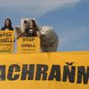 Medvědi nechtějí Shell v Arktidě