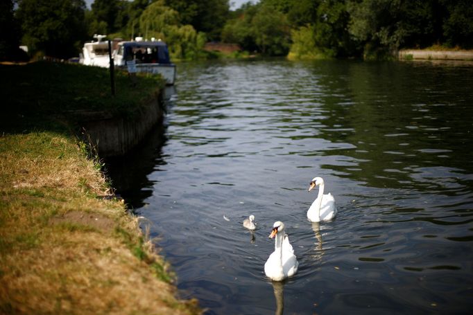 Řeka Temže, anglická vesnice Sonning