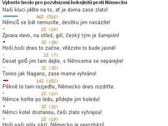 Anketa o hokejové heslo