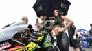 Grid Girls 2018: Johann Zarco