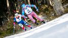 SP Pokljuka, sprint M: Jevgenij Garaničev (25) a Ole Einar Björndalen