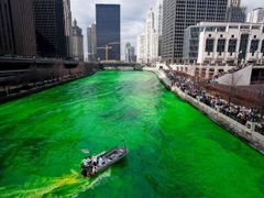 Jeden den v roce se řeka Chicago zbarví na zeleno. Vždy, když se slaví den Sv. Patrika - 11. března 2006