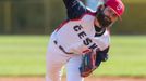 Pražský týden, baseball, Česko - Nový Jižní Wales (Ondřej Satoria)