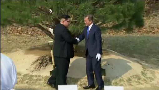 Kim Čong-un a Mun Če-in symbolicky naházeli několik lopat hlíny ke stromu v demilitarizované zóně.