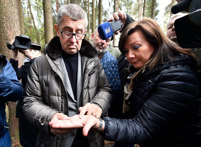 Premiér Andrej Babiš a ministryně financí Alena Schillerová si 15. května 2019 v lokalitě Bílovna nedaleko Bernartic prohlédli lesy zasažené kůrovcem.