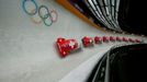 Switzerland's pilot Fabienne Meyer and Tanja Mayer speed down the track during the women's bobsleigh event at the 2014 Sochi Winter Olympics, at the Sanki Sliding Center