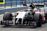 Ovšem tým Force India tento prvek dovedlo téměř k dokonalosti, když "mravenečník" doslova z vozu trčí.