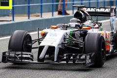 Formulové obludárium: od čajové konvice přes šestikolky až po mrože a ptakopyska