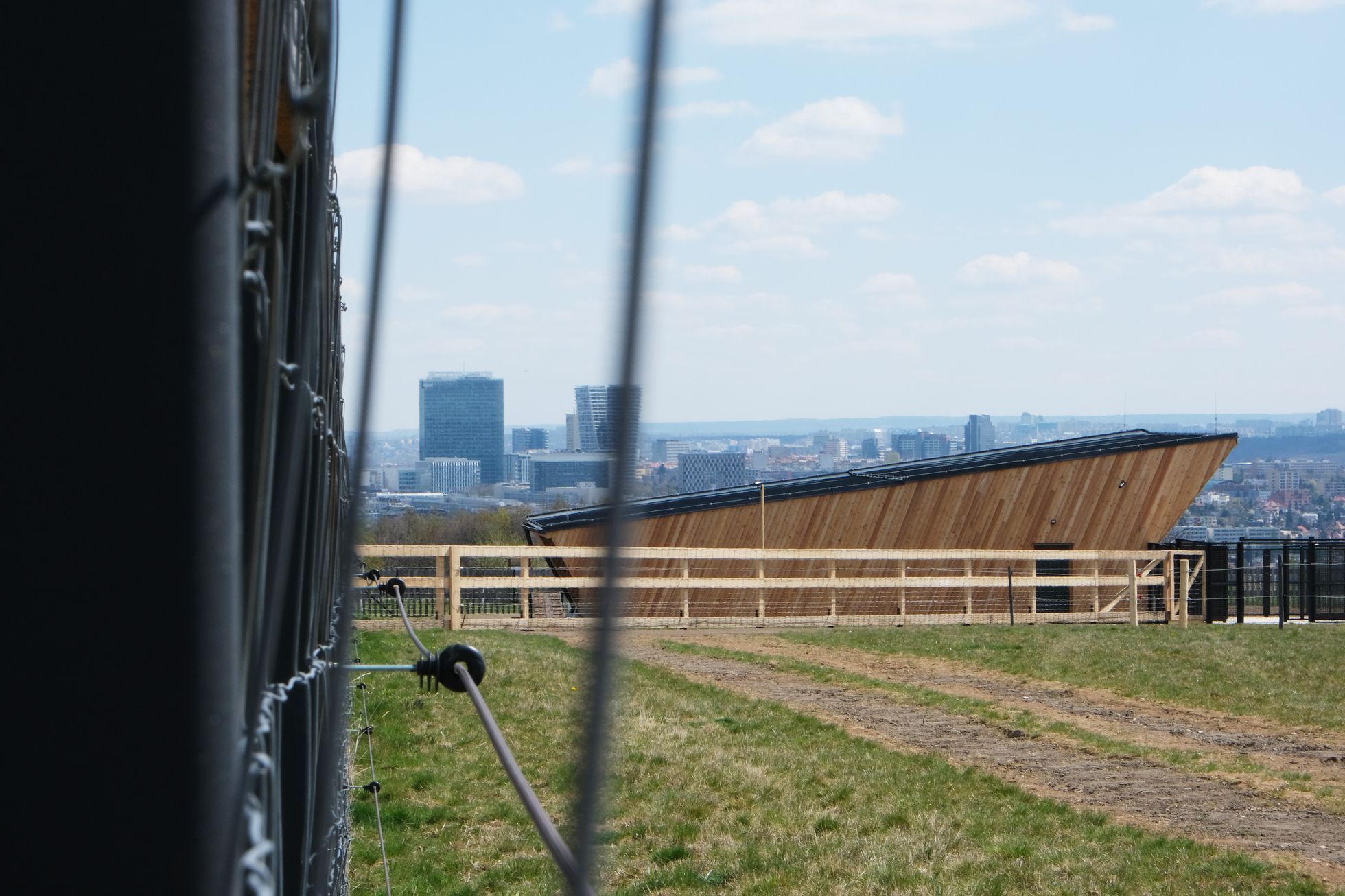 Koně na Dívčích hradech