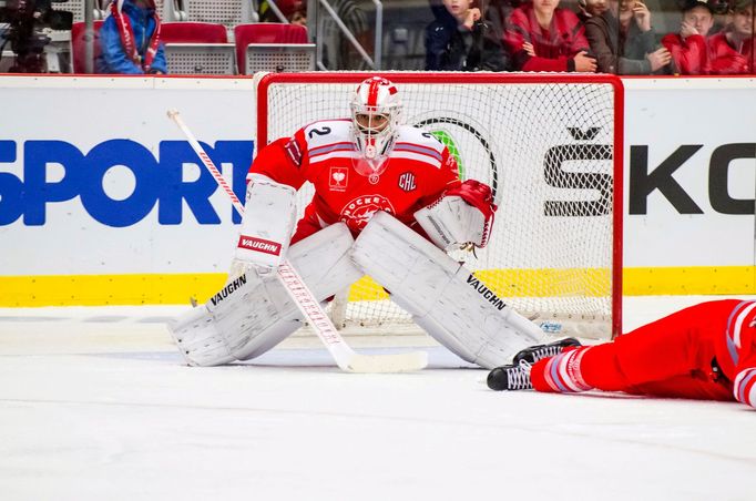 LM, Třinec-HV71: Peter Hamerlík