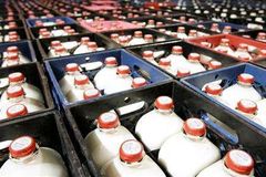 Mléku chybí dotace, krav proto ubývá