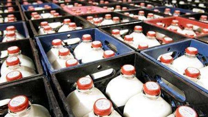 Podle nové studie zveřejněné agenturou Reuters pravidelné denní pití mléka výrazně snižuje vznik diabetu II. typu.