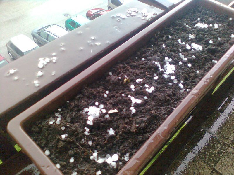 Bouře v Havířově 22.5.2010 - kroupy