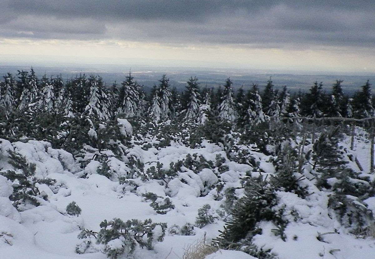 Kde hledat přírodní sníh? Začněte v 900 m.n.m.