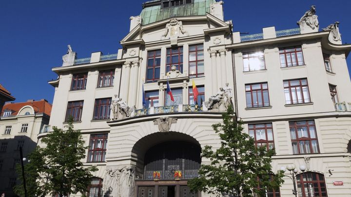 Stromy mohou zničit hodnotu pod dlažbou, proto je nelze sázet všude, říká památkář; Zdroj foto: ČTK