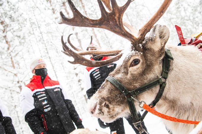 Jezdci Toyoty se sobem před Arktickou rallye 2021