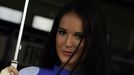 MotoGP Brno - grid girls