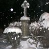 Sníh v Bukové