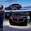 2024 Beijing International Automotive Exhibition