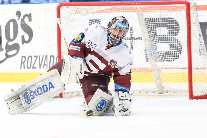 EELH, semi Plzeň-Sparta: Tomáš Pöpperle