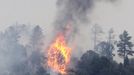 Trees are engulfed with flames in a mountain subdivision in the Waldo Canyon fire west of Colorado Springs, Colorado June 24, 2012. Firefighters in Western U.S. states struggled to contain out-of-control wind-stoked wildfires across the U.S. west as summer temperatures mounted, and a fresh blaze consumed more homes in Colorado. REUTERS/Rick Wilking (UNITED STATES - Tags: DISASTER ENVIRONMENT) Published: Čer. 24, 2012, 11:43 odp.