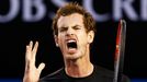 Andy Murray ve finále Australian Open 2015