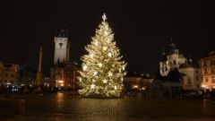 Vánoční strom na Staroměstském náměstí v Praze