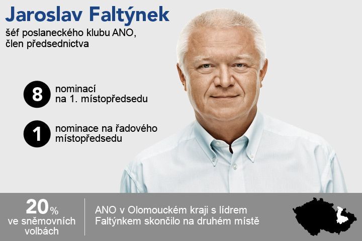 grafika - sjezd ANO - Faltýnek