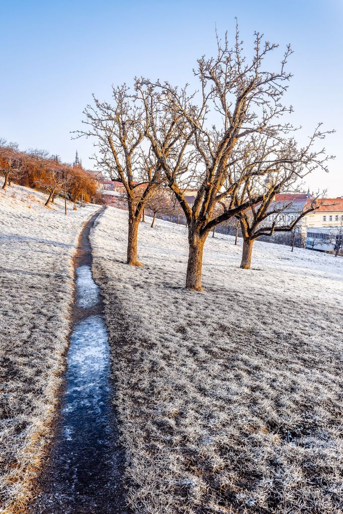 Krása jarní Prahy na fotografiích Richarda Horáka (vítěz soutěže Praha fotografická 2023)