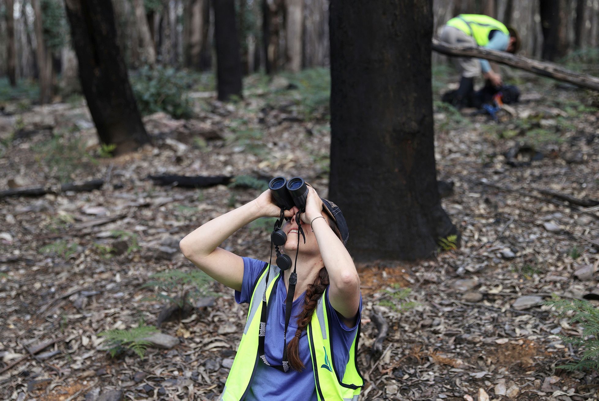 Jednorázové užití / Fotogalerie / Spása koal, která vám zachrání den