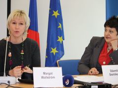 Eurokomisařka Margot Wallströmová a bývalá ministryně pro lidská práva Džamila Stehlíková