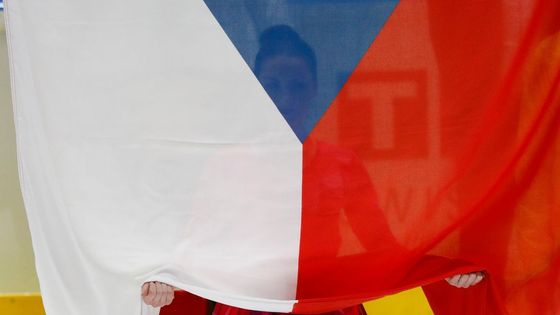 I když čeští hokejisté vyhráli na světovém šampionátu na Slovensku sedm zápasů, v posledních dvou nejdůležitějších neuspěli a zůstali bez medaile. Svojí hrou ale zanechali velmi dobrý dojem.