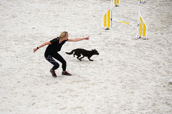 Mezinárodní kynologické závody Prague Agility Party 2022, závodiště Velká Chuchle