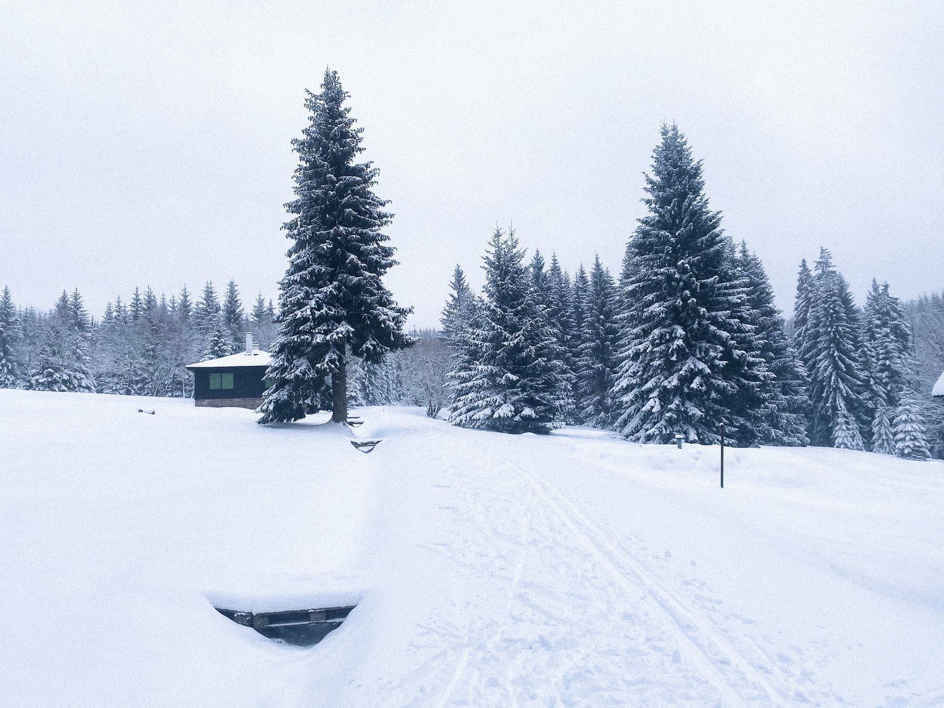 Jednorázové užití / Krásy zimy ohlásili svůj příchod. Jizerky jsou již pod sněhem