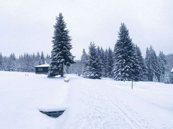 Krásy zimy ohlásili svůj příchod. Jizerky jsou již pod sněhem. 1. 12. 2020