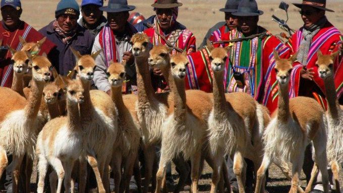 Jednou z jazykově nejrozmanitějších zemí světa je Bolívie.