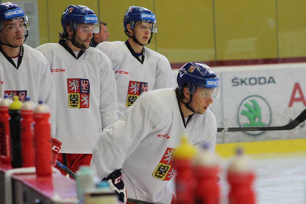 Tréninkový kemp hokejové reprezentace 2015